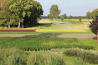 kulturlandschaft